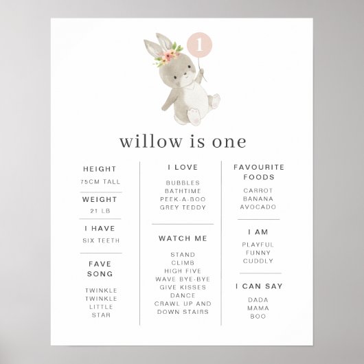 Bunny Pink Balloon Poster (Voorkant)