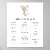 Bunny Pink Balloon Poster (Voorkant)