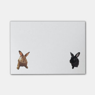 Bunny Post-its Post-it® Notes