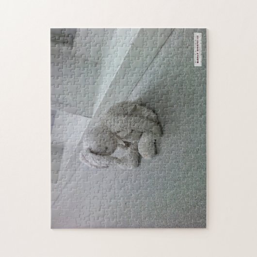 Bunny Puzzle - Misfits Enterprise Legpuzzel (Verticaal)