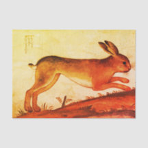 BUNNY RABBIT - Aangepast 10 lb-weefselpapier, wit