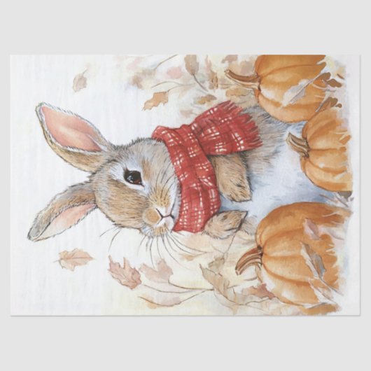 Bunny Rabbit Autumn Pumpkin Illustratie Tissuepapier (Voorkant)