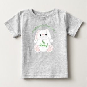 Bunny Rabbit Baby shower