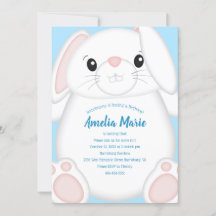 Bunny Rabbit Birthday Party Blue