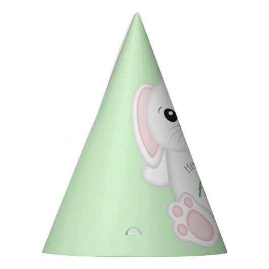 Bunny Rabbit Birthday Party Green Feesthoedjes (Links)