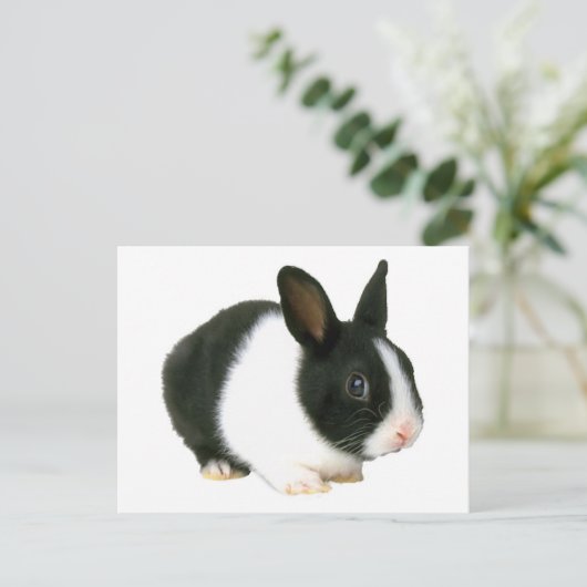 Bunny Rabbit Black en White Briefkaart (Staand voorkant)