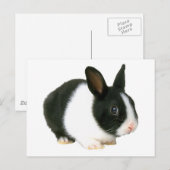 Bunny Rabbit Black en White Briefkaart (Voorkant / Achterkant)