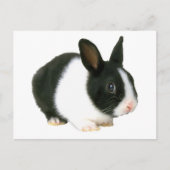 Bunny Rabbit Black en White Briefkaart (Voorkant)