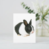 Bunny Rabbit Black en White Briefkaart (Staand voorkant)