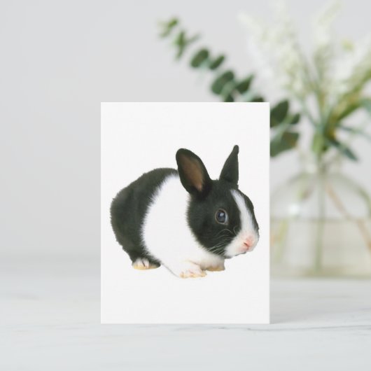 Bunny Rabbit Black en White Briefkaart (Staand voorkant)