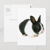 Bunny Rabbit Black en White Briefkaart (Voorkant / Achterkant)