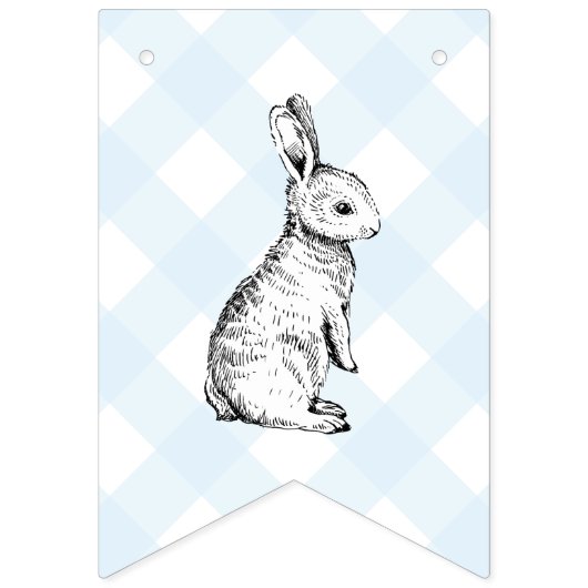 Bunny Rabbit Blue Gingham Baby shower Bunting Bunt Vlaggetjes (Tweede vlag)