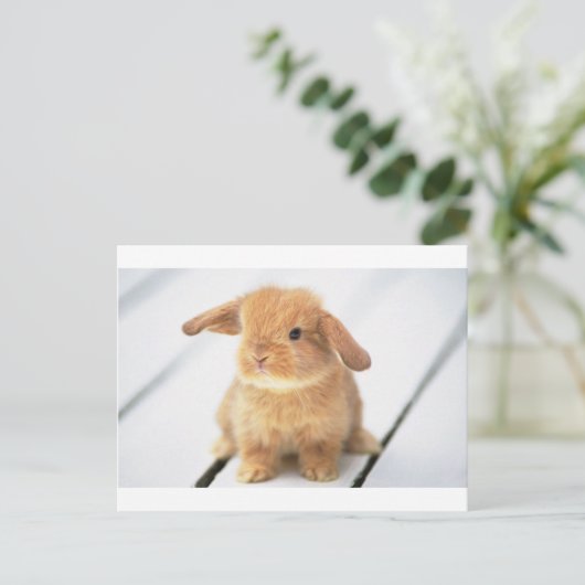 Bunny Rabbit Briefkaart (Staand voorkant)