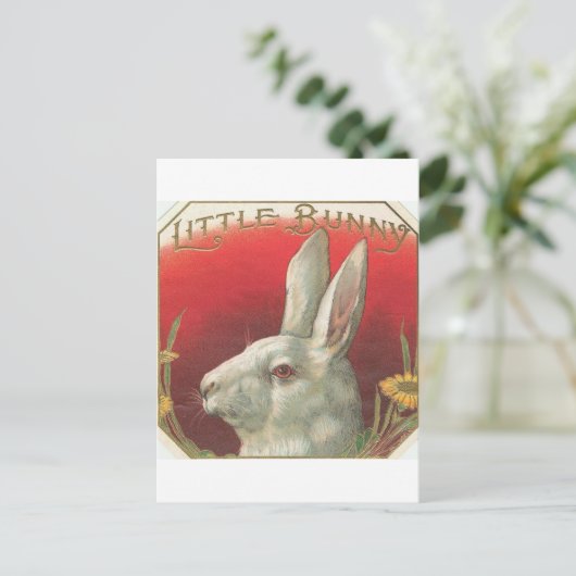  Bunny Rabbit Briefkaart (Staand voorkant)