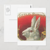  Bunny Rabbit Briefkaart (Voorkant / Achterkant)