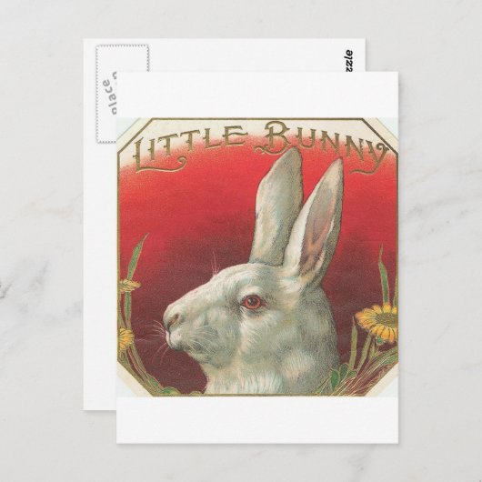 Bunny Rabbit Briefkaart (Voorkant / Achterkant)