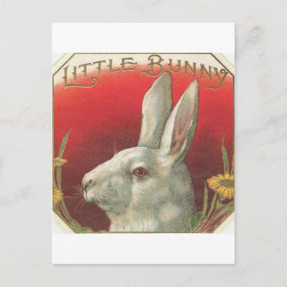 Bunny Rabbit Briefkaart