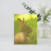 Bunny Rabbit Briefkaart (Staand voorkant)