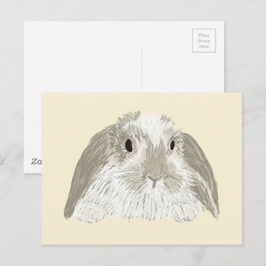 Bunny Rabbit Briefkaart (Voorkant / Achterkant)