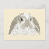 Bunny Rabbit Briefkaart (Voorkant)