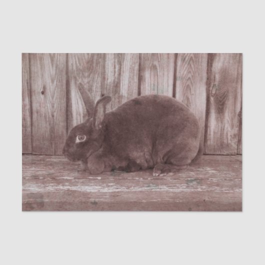 Bunny Rabbit  Brown Pasen Tissuepapier (Voorkant)