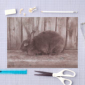 Bunny Rabbit  Brown Pasen Tissuepapier (Craft)