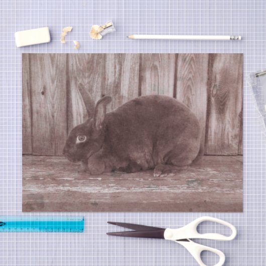 Bunny Rabbit  Brown Pasen Tissuepapier (Craft)