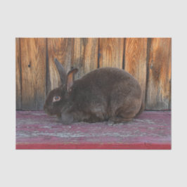 Bunny Rabbit Brown Wood Grain Pasen Tissuepapier