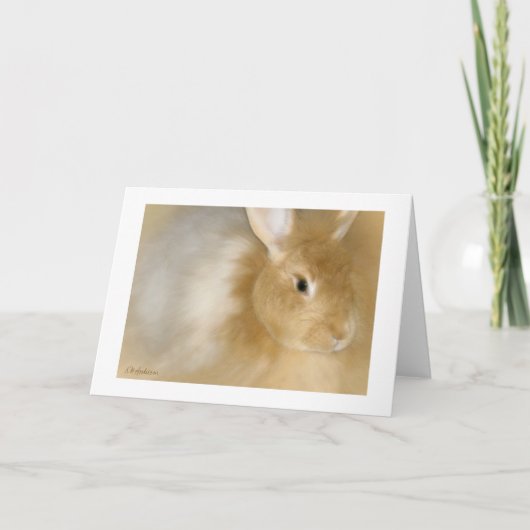Bunny Rabbit (Caramel) Feestdagen Kaart (Voorkant)