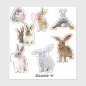 Bunny Rabbit Easter Spring Sticker (Vel)