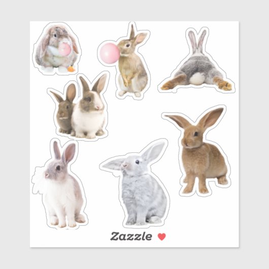 Bunny Rabbit Easter Spring Sticker (Vel)