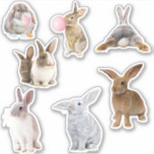 Bunny Rabbit Easter Spring Sticker (Voorkant)