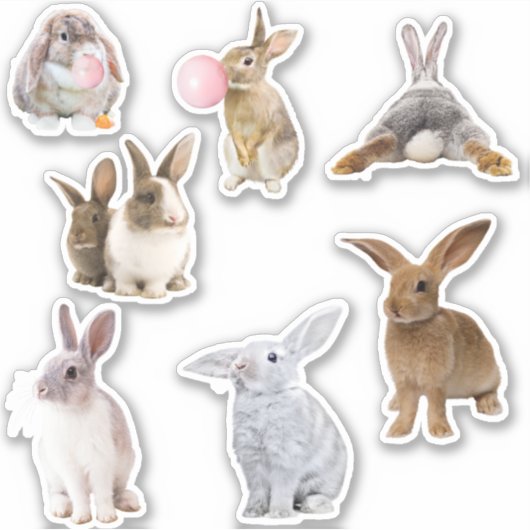Bunny Rabbit Easter Spring Sticker (Voorkant)