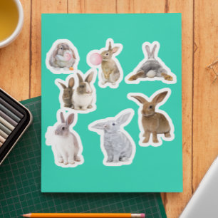 Bunny Rabbit Easter Spring Sticker