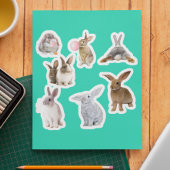 Bunny Rabbit Easter Spring Sticker