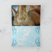Bunny Rabbit Feestdagen Kaart (Binnen)