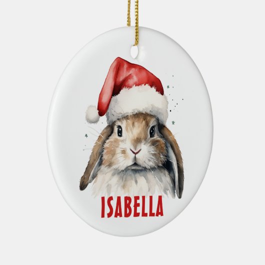 Bunny Rabbit Gepersonaliseerd Ornament (Rechts)