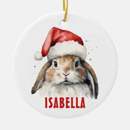 Bunny Rabbit Gepersonaliseerd Ornament (Voorkant)