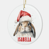 Bunny Rabbit Gepersonaliseerd Ornament (Links)
