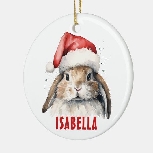Bunny Rabbit Gepersonaliseerd Ornament (Links)