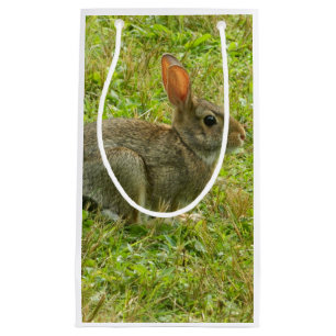 Bunny Rabbit Gift Bag Klein Cadeauzakje