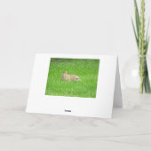 Bunny Rabbit (Green Grass) Wenskaart Feestdagen Kaart (Achterkant)