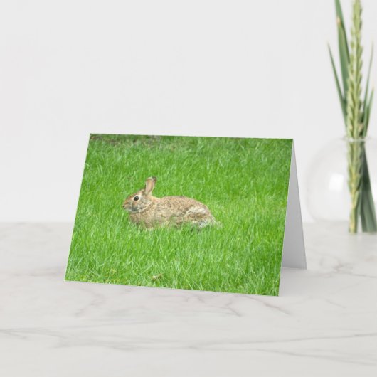 Bunny Rabbit (Green Grass) Wenskaart Feestdagen Kaart (Voorkant)