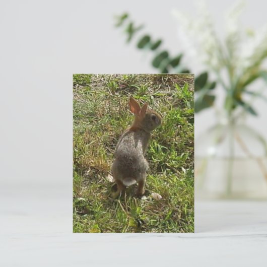 Bunny Rabbit Hare Stuff Briefkaart (Staand voorkant)