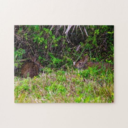 Bunny Rabbit Hare Wetlands Schattige Natuur Brown Legpuzzel (Horizontaal)