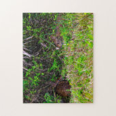 Bunny Rabbit Hare Wetlands Schattige Natuur Brown Legpuzzel (Verticaal)