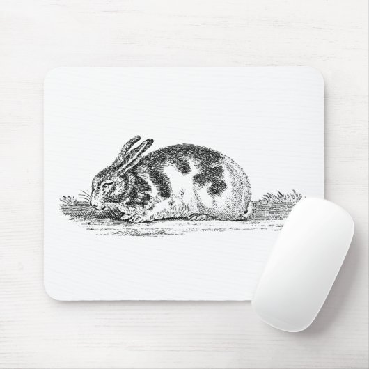  Bunny Rabbit Illustration - 1800 konijnen Muismat (Met muis)