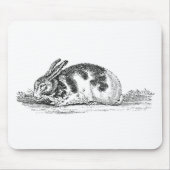  Bunny Rabbit Illustration - 1800 konijnen Muismat (Voorkant)
