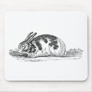  Bunny Rabbit Illustration - 1800 konijnen Muismat