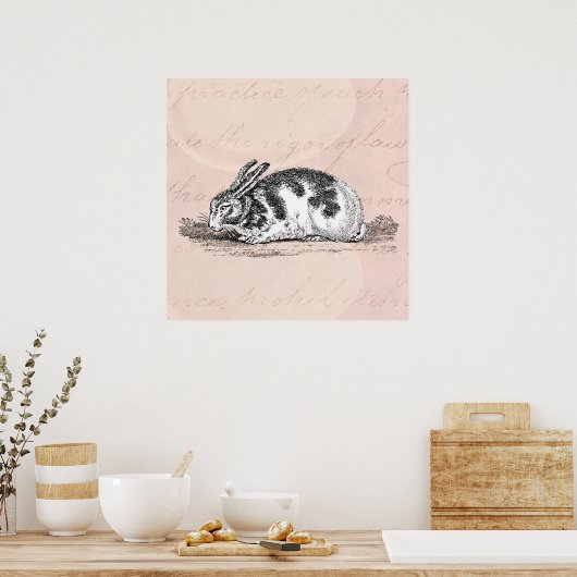 Bunny Rabbit Illustration - 1800 konijnen Poster (Keuken)